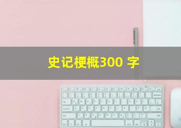 史记梗概300 字